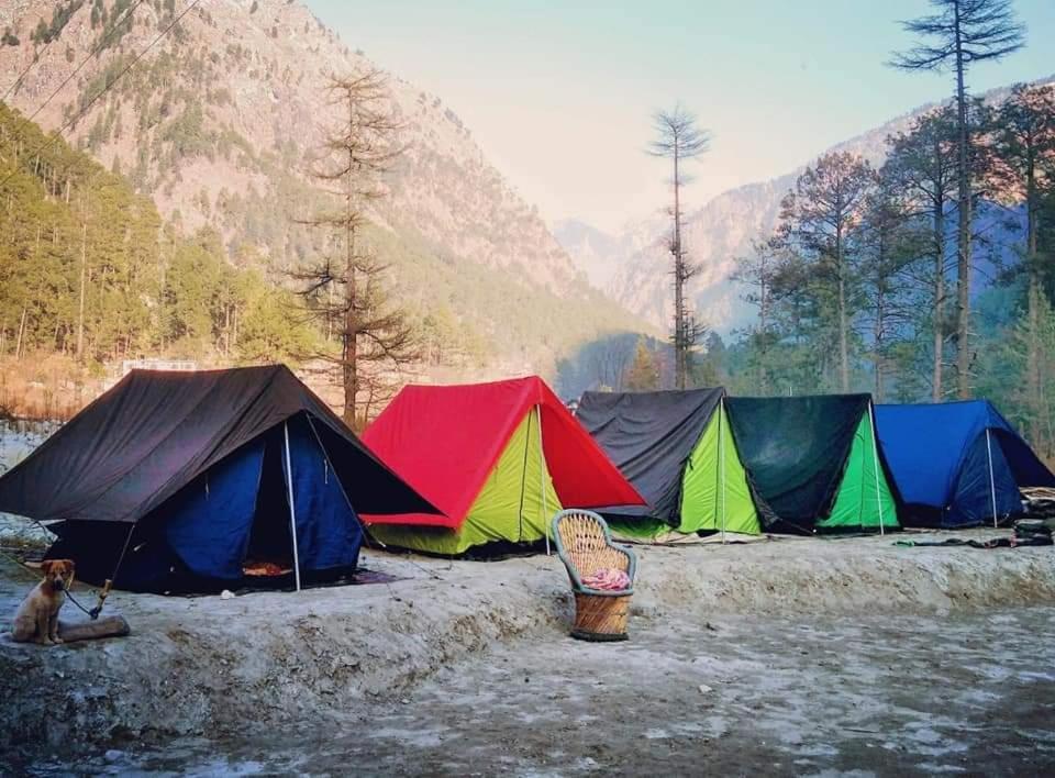 كاسول Stayhigh Camps & Cottages المظهر الخارجي الصورة