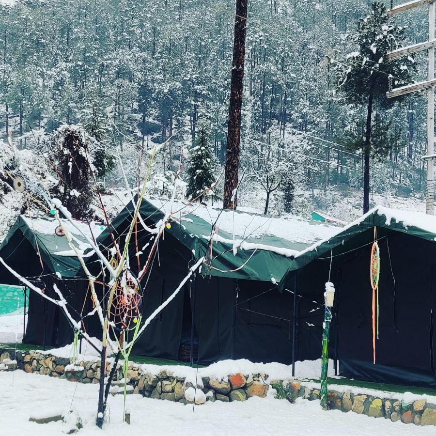 كاسول Stayhigh Camps & Cottages المظهر الخارجي الصورة